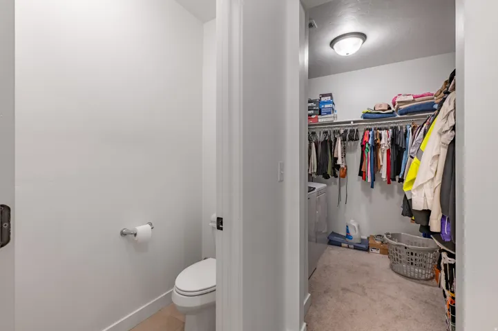 Dedicated laundry area within a walk-in closet featuring carpet flooring, built-in shelving, and a ceiling-mounted light fixture