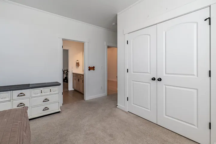 White paneled double doors with black hardware, neutral carpet, and a light-toned wall finish
