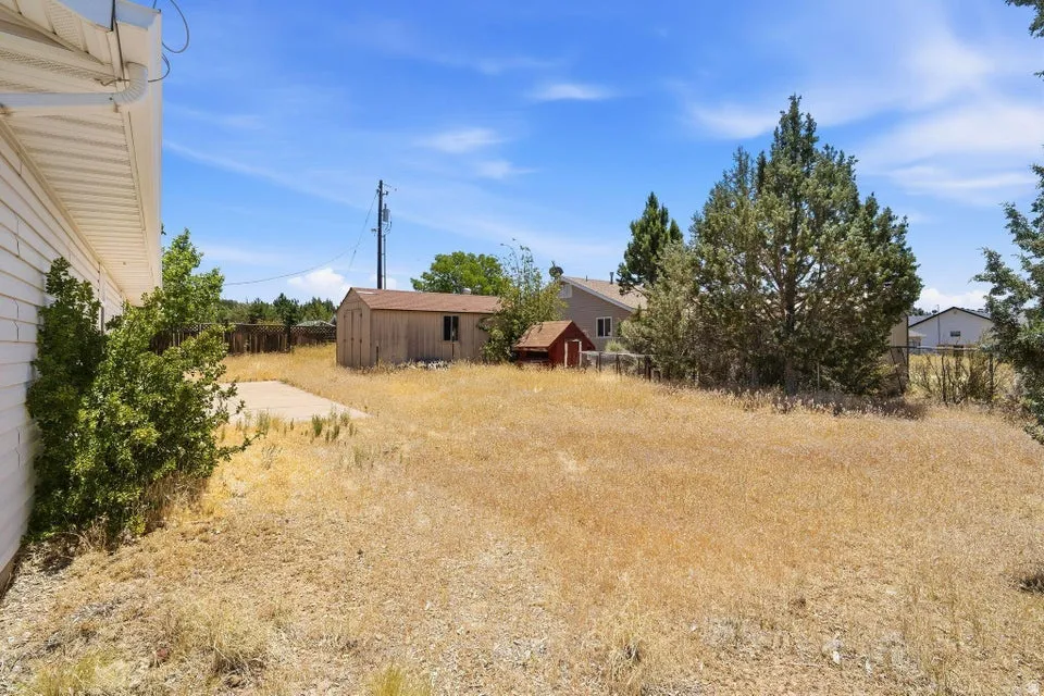 Expansive rear yard featuring a large storage shed, a smaller red storage shed, mature trees, and a concrete pad