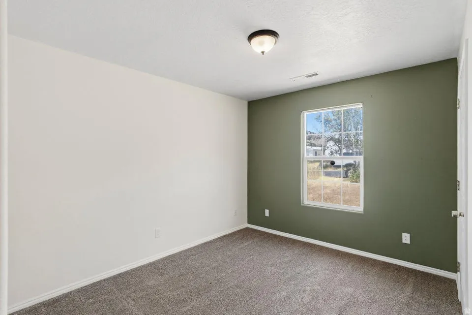 Room featuring a window, neutral carpet flooring, and a green accent wall
