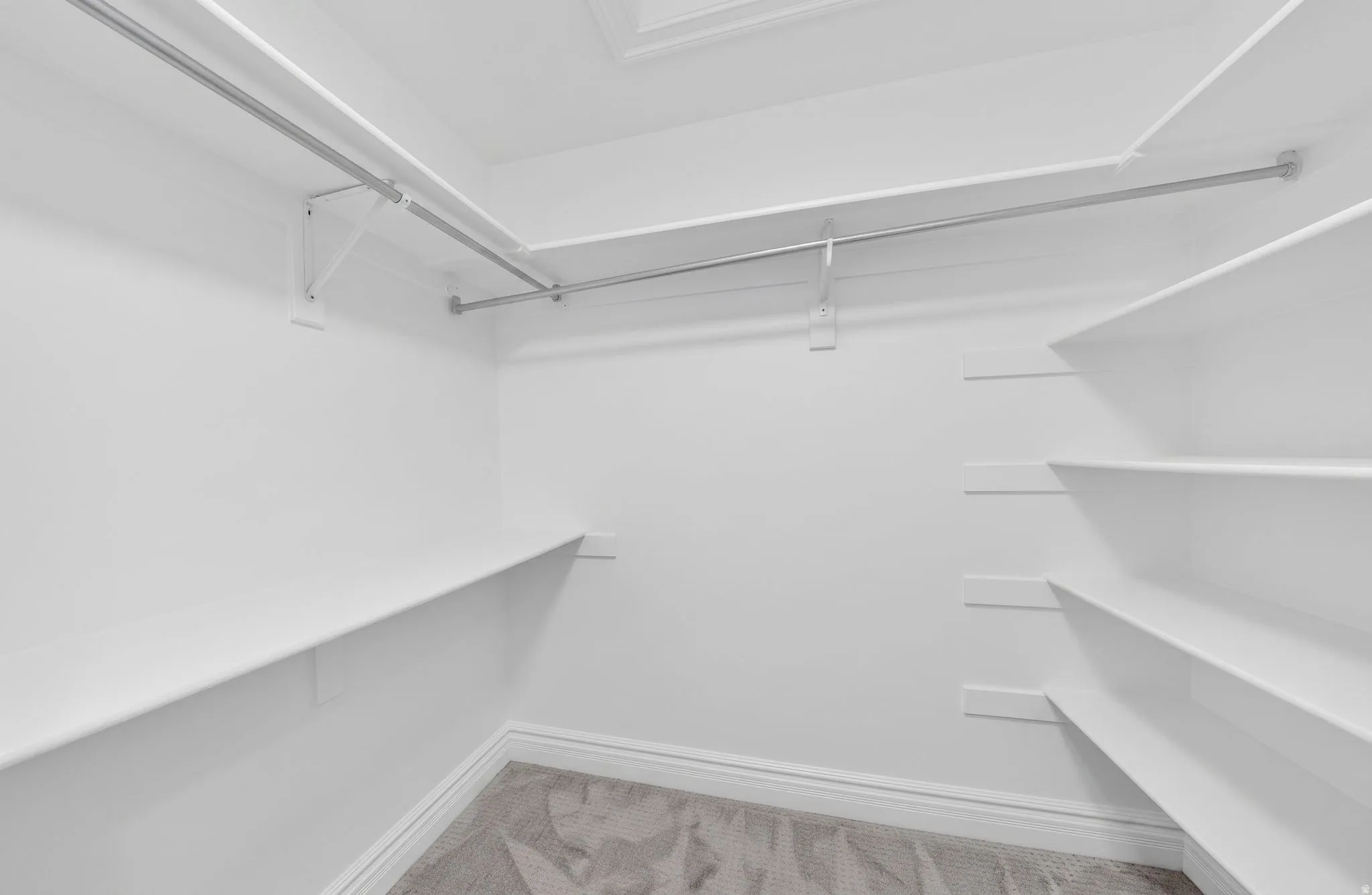 Walk-in closet featuring built-in shelving, chrome hanging rods, white trim, and light-toned carpeting