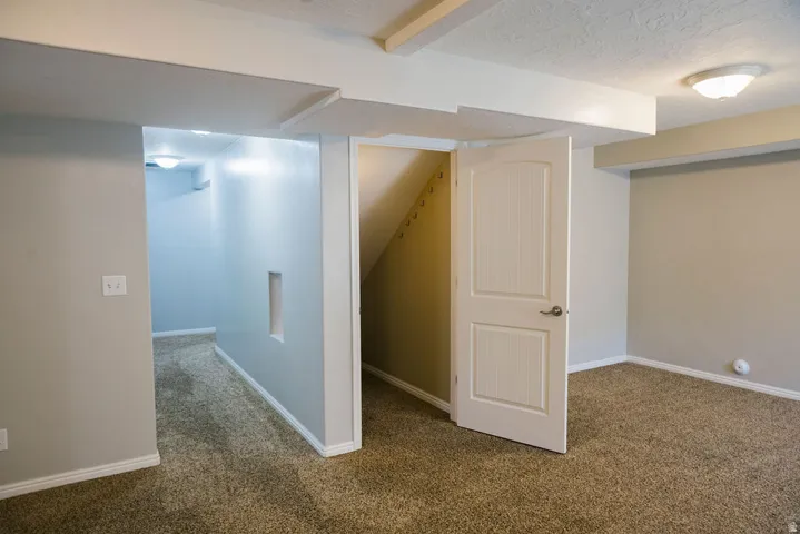 Carpeted interior space featuring a white paneled door, light-toned walls, and white trim