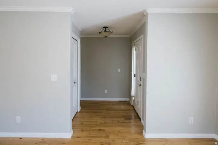 Entryway featuring wood-finish flooring, light gray wall finishes, white trim, a semi-flush mount ceiling light, and a paneled entry door