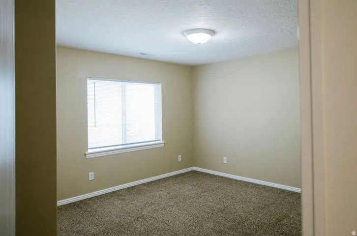 Neutral-toned room featuring a single window with blinds, brown carpet, and white baseboards