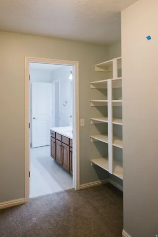 Built-in shelving unit with multiple white shelves