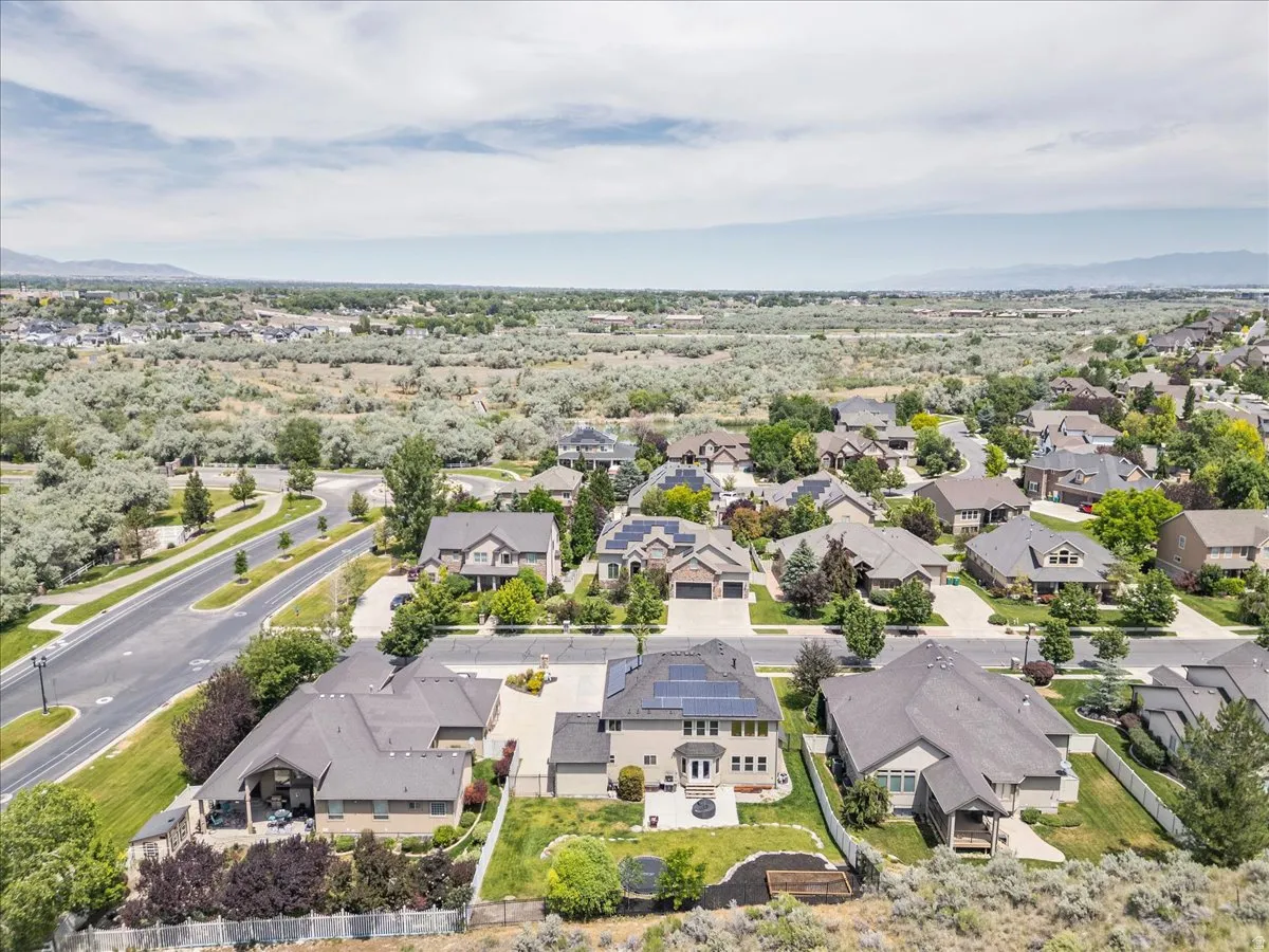 Aerial perspective showcasing a residential neighborhood with varied home styles and mature landscaping