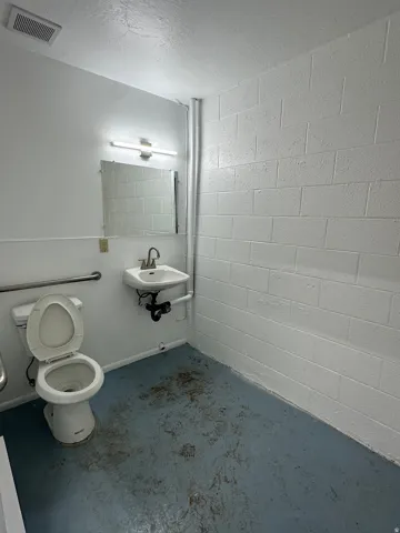 Restroom featuring a wall-mounted sink, mirror with vanity lighting, white toilet, and grab bars