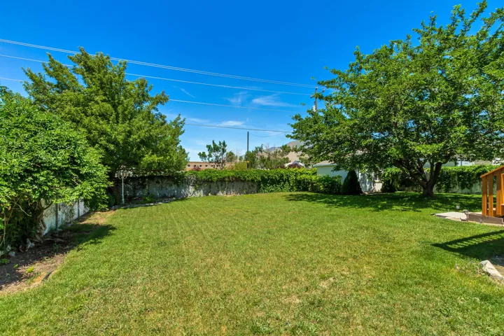 Expansive backyard featuring a lush lawn, mature trees providing shade, a stone wall with climbing greenery, and a visible portion of a wooden deck structure