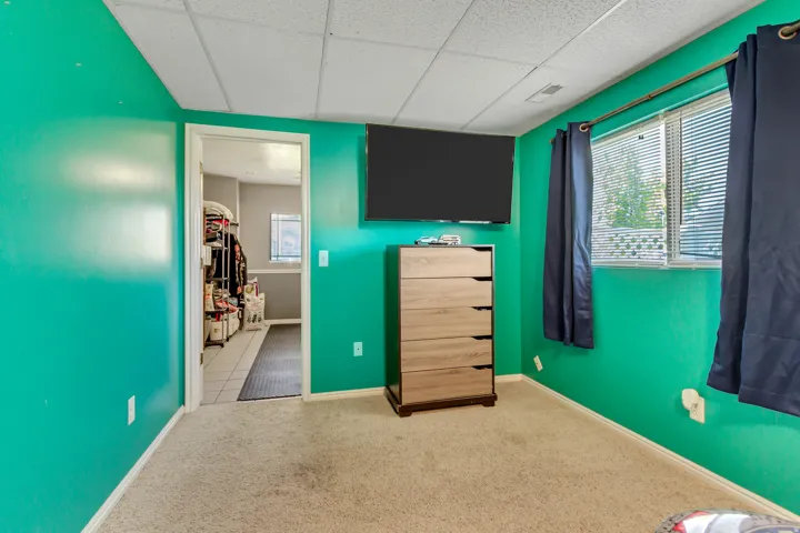 Carpeted interior space featuring a drop ceiling, brightly painted walls, and a window with horizontal blinds