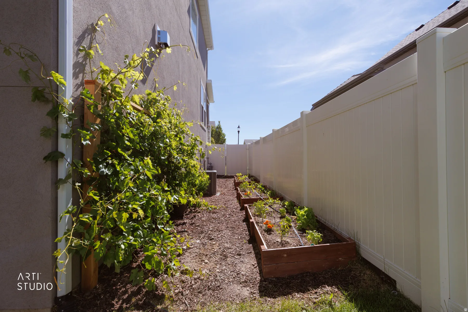 Side yard featuring raised garden beds with established plants, a robust privacy fence, and a vine-covered trellis against a stucco exterior