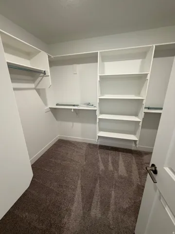 Owner's closet