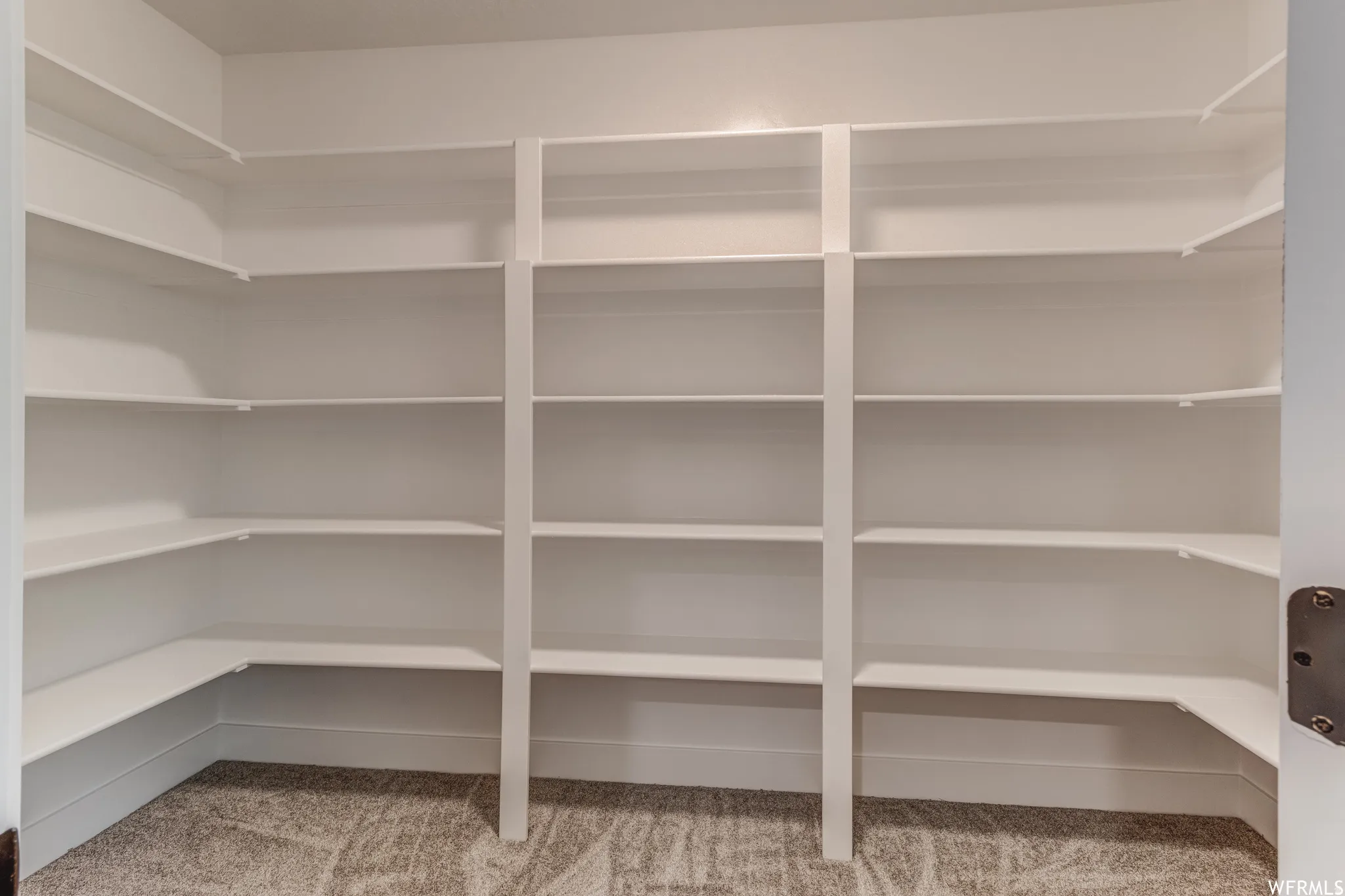 Extensive built-in shelving with white finishes and carpeted flooring