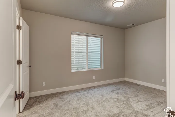 Neutral wall paint, white trim, gray carpeting, natural light, and a flush mount ceiling light fixture