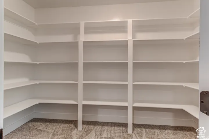 Extensive built-in shelving with white finishes and carpeted flooring