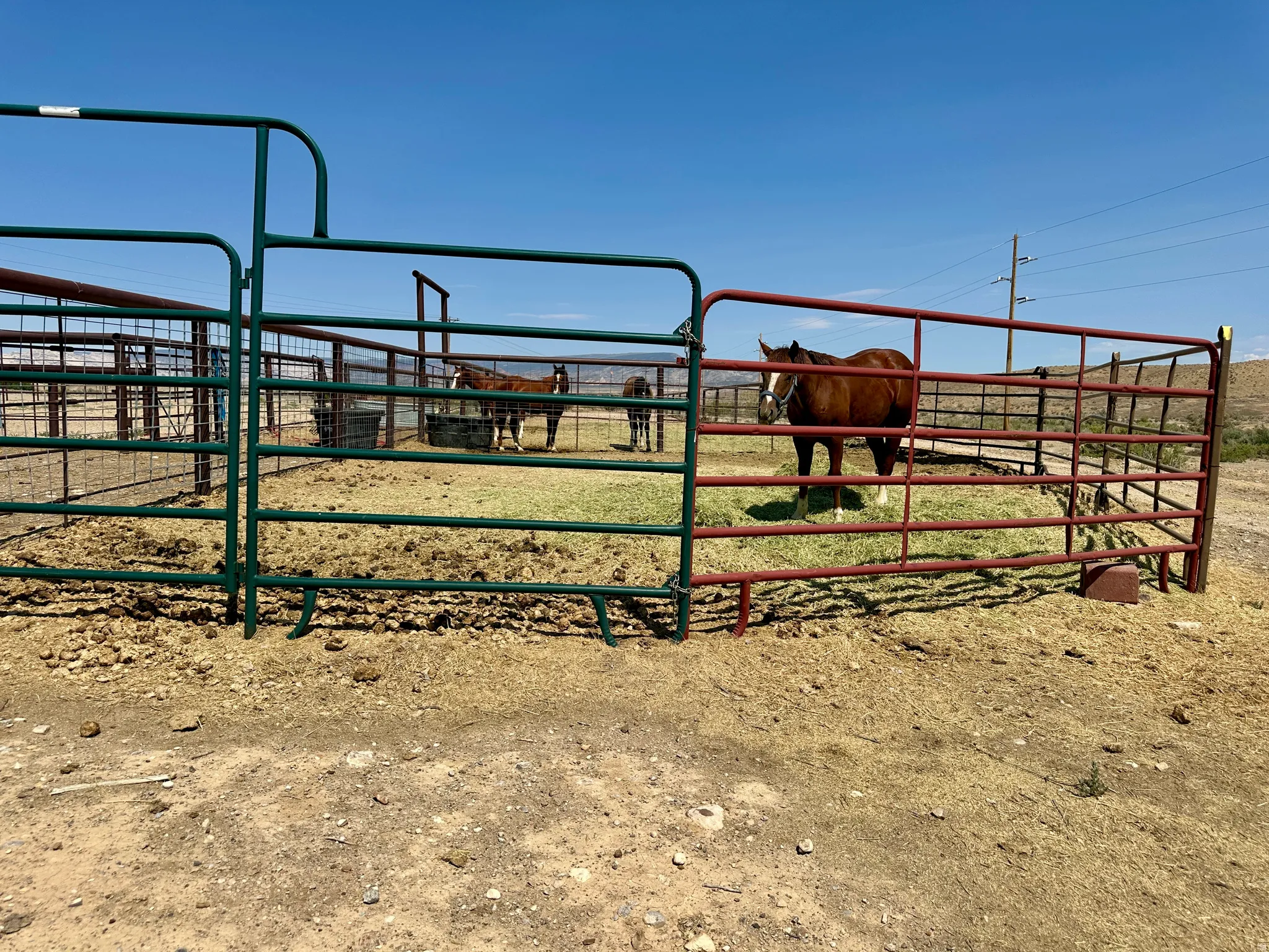 Fenced corral with multiple pens.