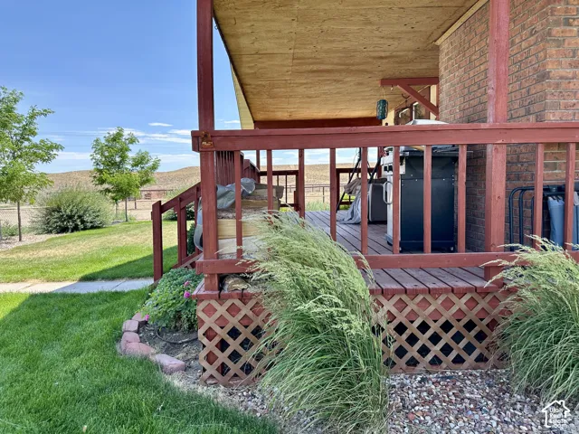 Fully landscaped front yard