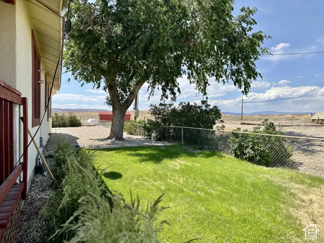 Mature trees for lots of shade