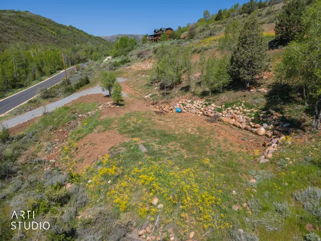Expansive sloped property featuring a paved road, gravel driveway, natural rock formations, mature trees, and natural vegetation with yellow blossoms