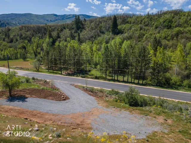 Expansive mountain scenery with abundant mature trees and lush greenery