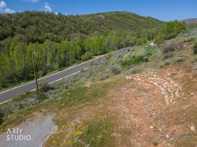 Hilly terrain featuring natural landscaping and mature trees