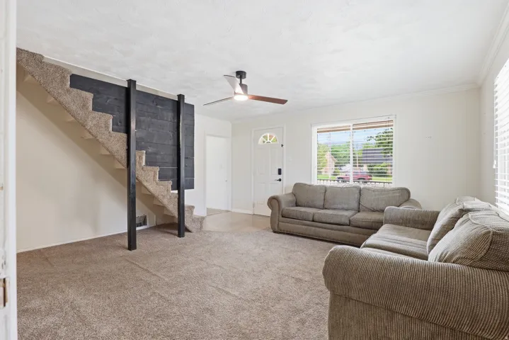 Carpeted staircase with dark wood-paneled accent wall