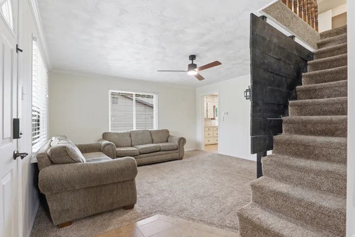Carpeted living area featuring a ceiling fan, a window with blinds, and a built-in wall sconce, with a dark wood-finish partition framing the carpeted staircase