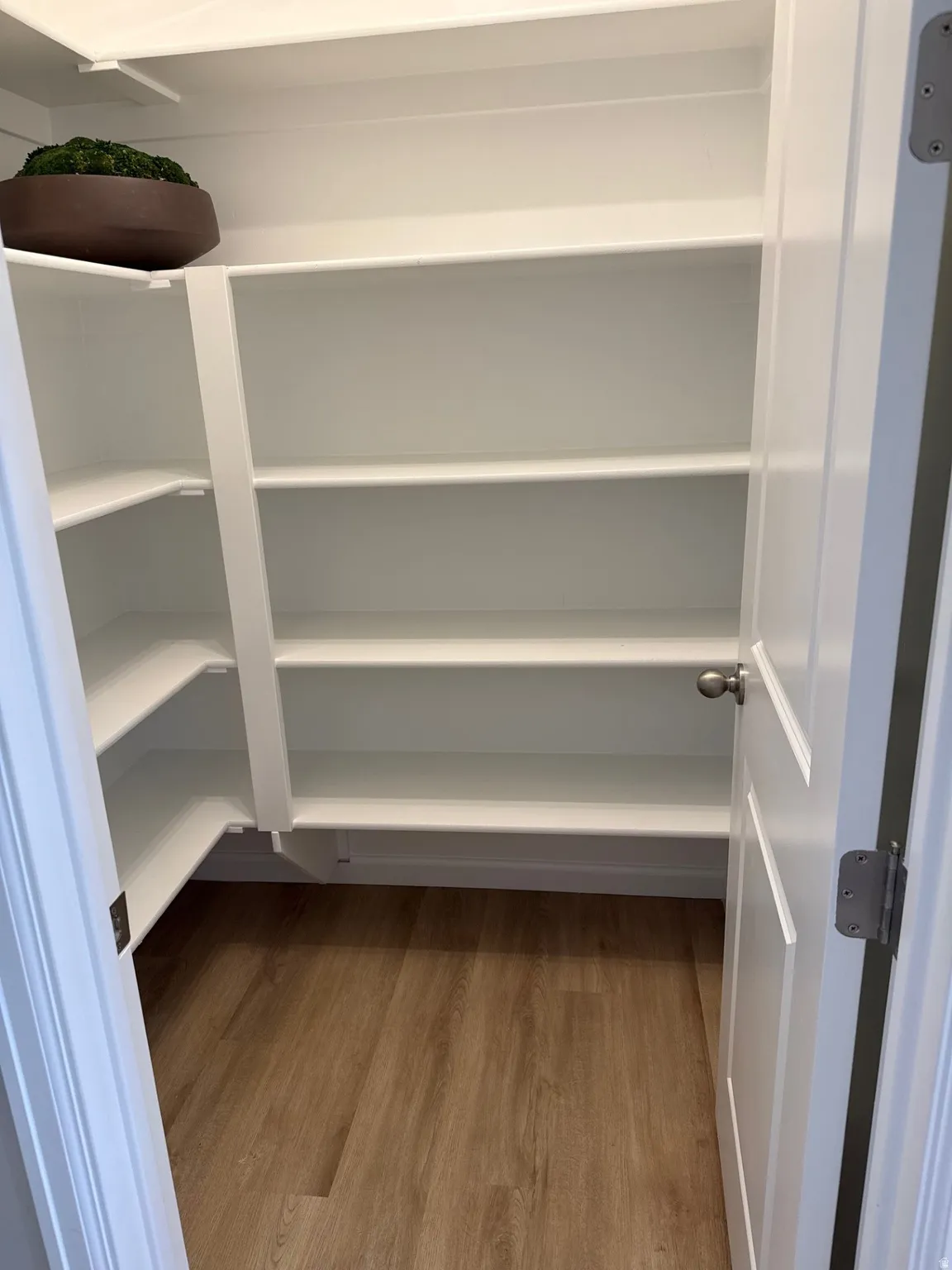 Walk-in pantry featuring extensive built-in shelving, durable wood-finish flooring, and a paneled door with a brushed nickel knob