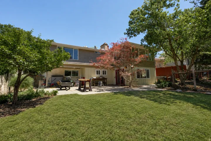 Expansive green lawn with mature trees and a paved patio area