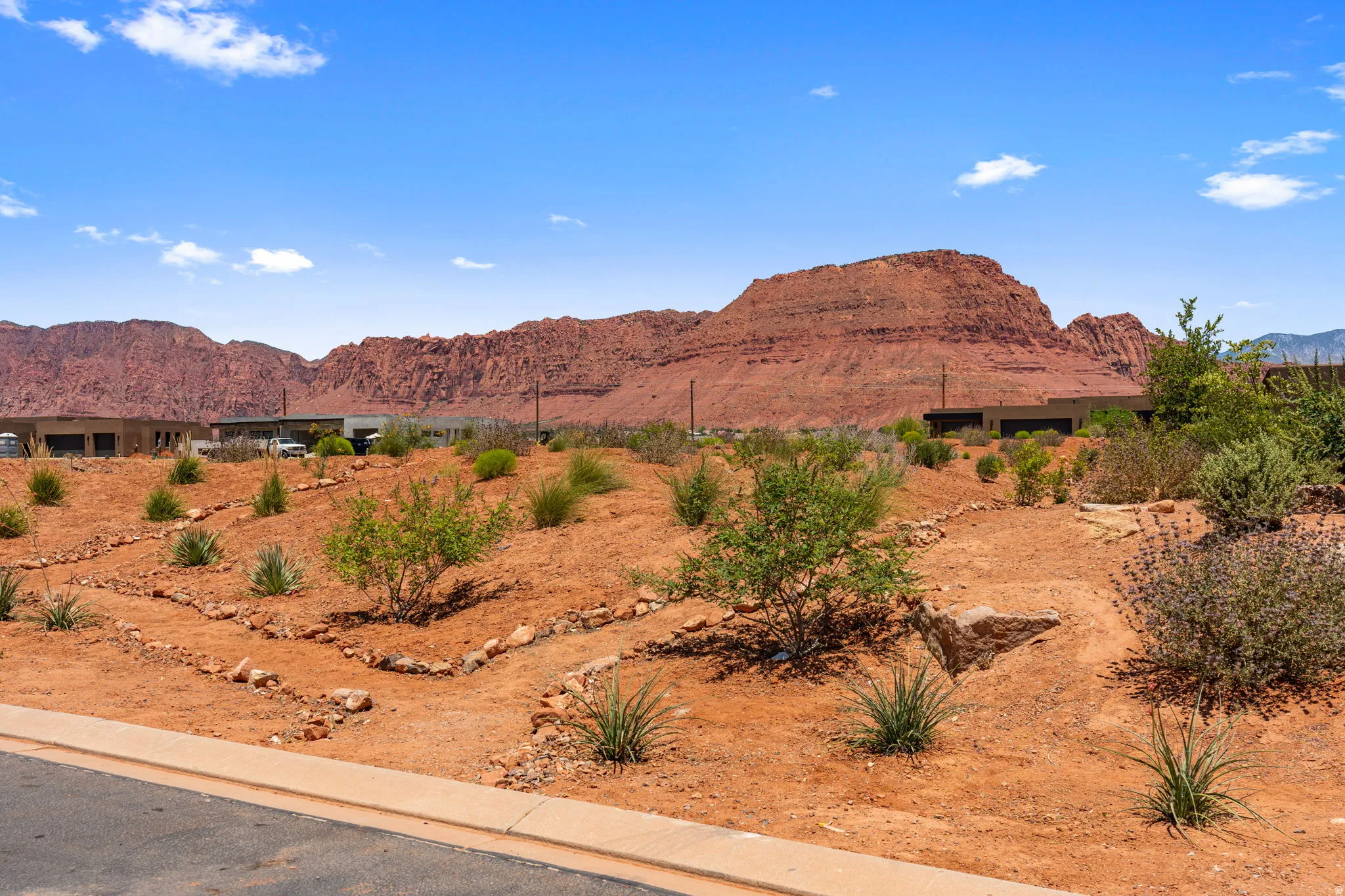 Expansive desert landscaping on view protection lot featuring native plants and rock accents
