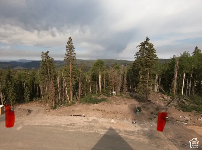 2 Skyline Terrace Ct, Beaver, Utah 84713