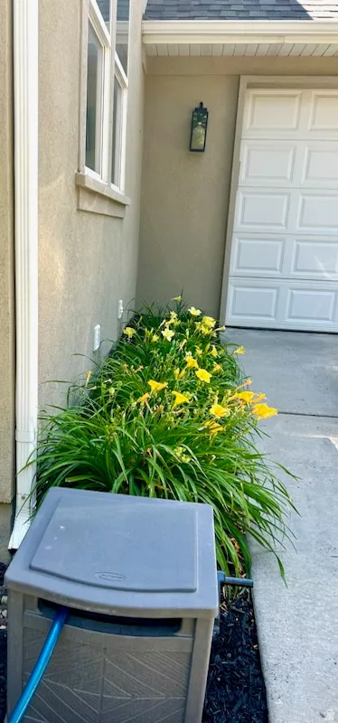 Stucco exterior featuring a white garage door
