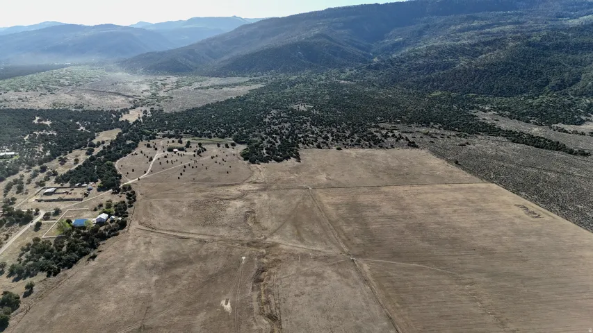Expansive agricultural fields with distant mountain backdrop, featuring scattered mature trees and multiple outbuildings