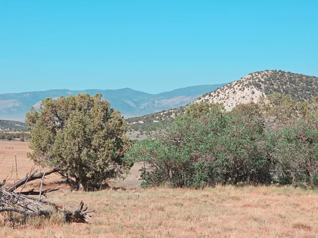 Expansive undeveloped land featuring natural vegetation, distant mountains, and a clear sky