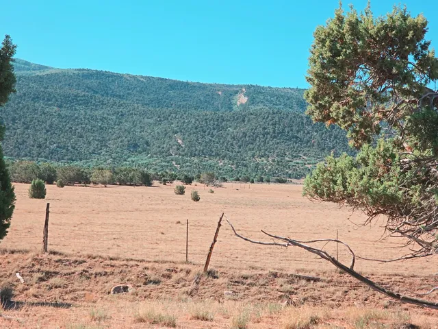 Expansive natural landscape featuring a dry grassy field, scattered evergreen shrubs, and a backdrop of a forested mountain range
