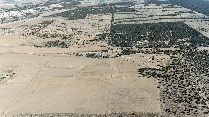 Expansive acreage featuring a mix of cleared land and natural tree cover