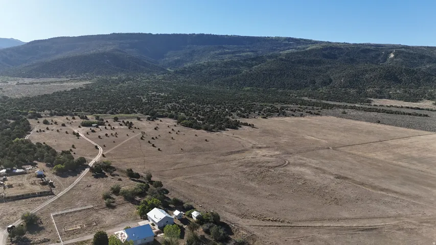 Expansive rural landscape featuring a prominent mountain backdrop, scattered evergreen trees, a winding unpaved road, and distant structures