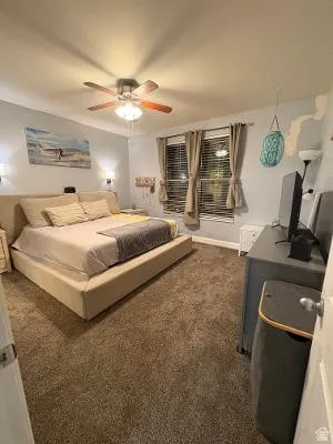 Plush brown carpeting throughout, illuminated by recessed lighting and a ceiling fan with light fixture