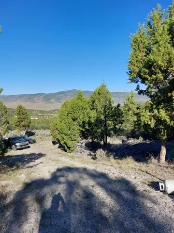 Expansive landscape featuring distant mountains, a broad valley, mature evergreen trees, sparse brush, and a clear blue sky