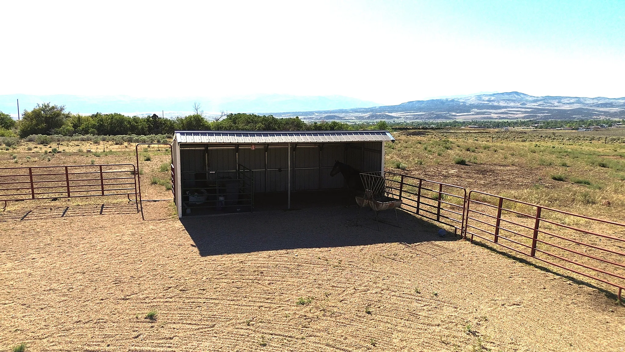 Sheltered animal enclosure with a metal roof and open-sided design, surrounded by extensive fenced grounds