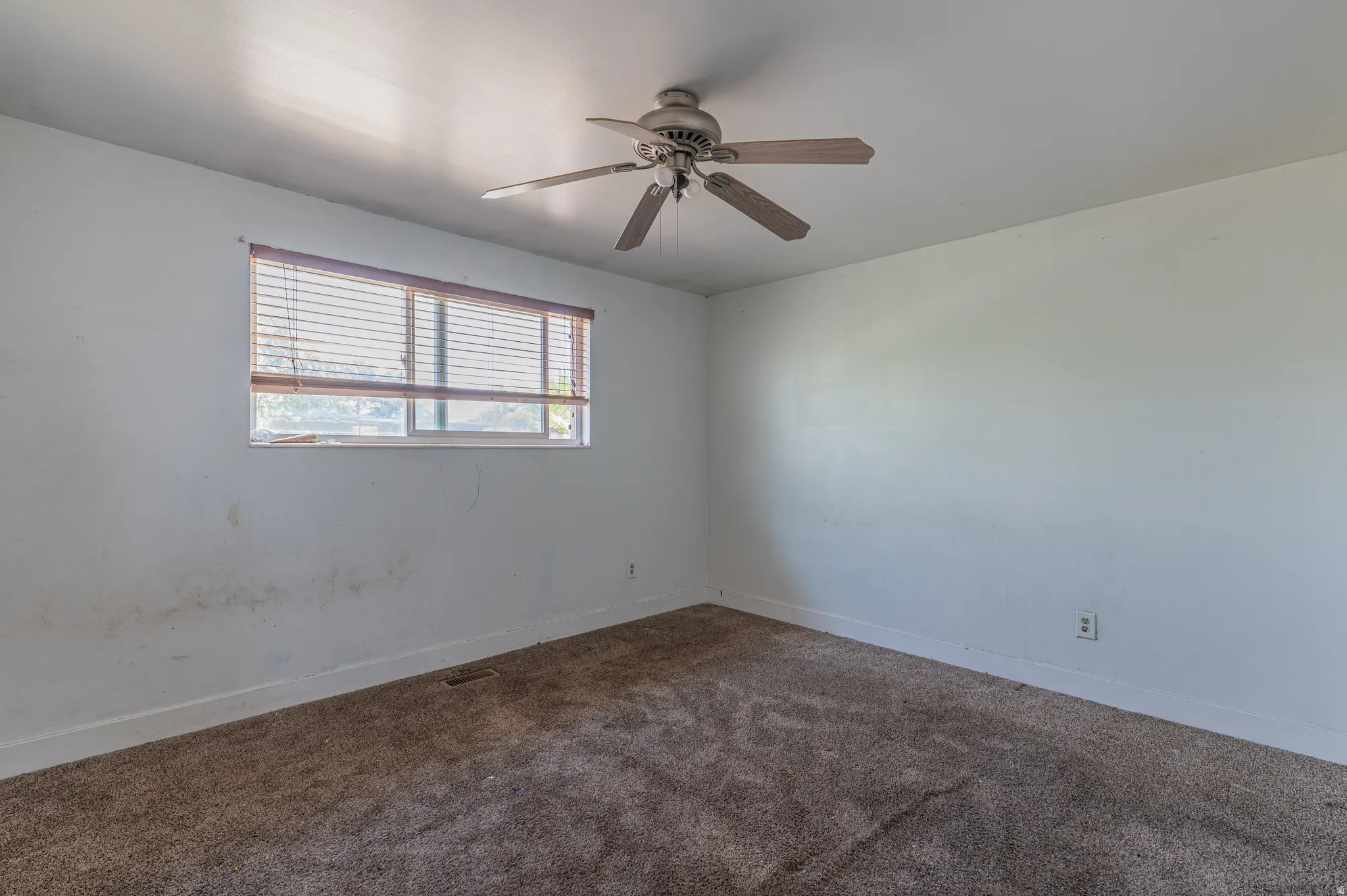 Carpeted room featuring a ceiling fan, a window with horizontal blinds, and white baseboards