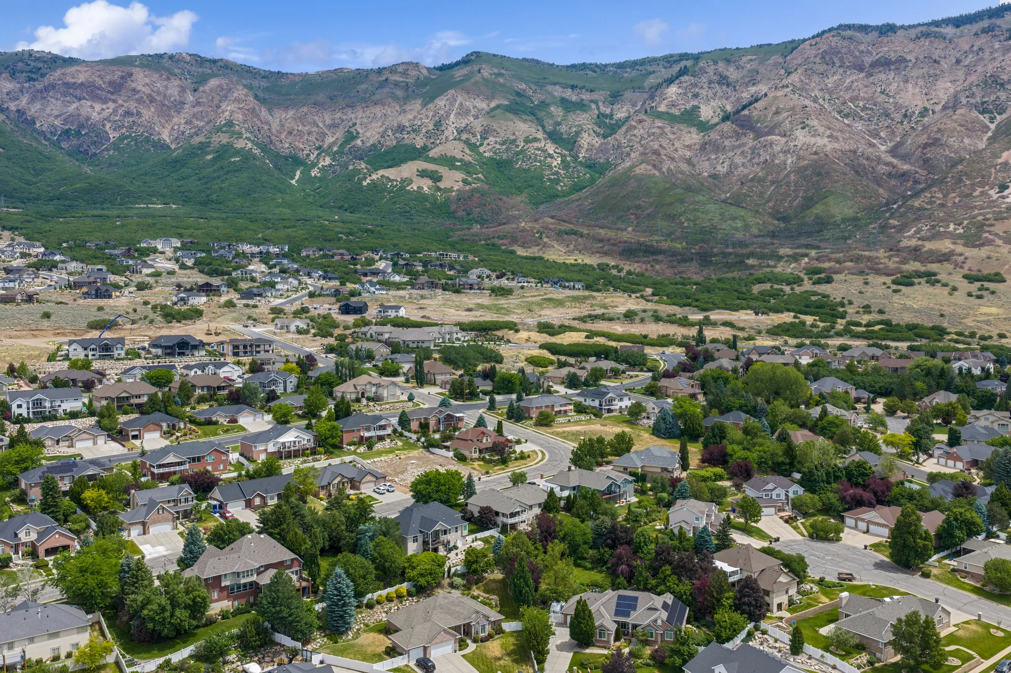 Established residential neighborhood with mature trees, offering a mountainous backdrop and clear skies