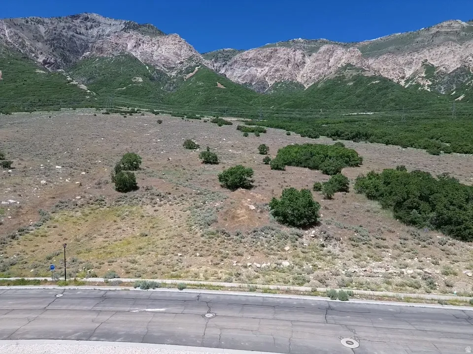 Expansive undeveloped parcel featuring natural vegetation and mature trees, backed by mountainous terrain