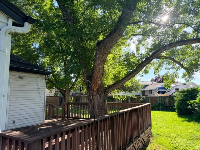 Expansive outdoor deck with wood railings, a mature shade tree, and a manicured lawn