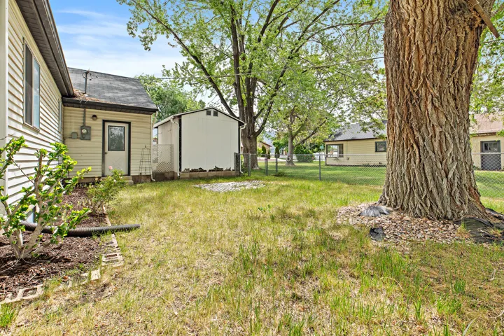 Lawn area featuring a mature tree, chain-link fencing, and a white storage shed