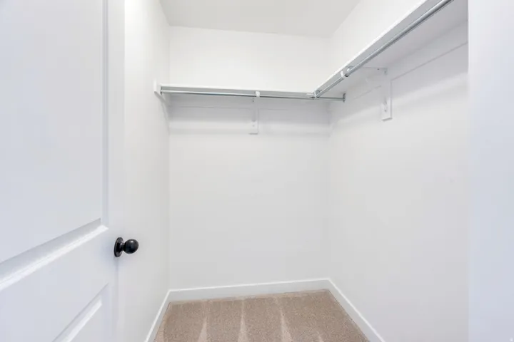 Carpeted closet with white walls, baseboards, and built-in shelving and hanging rods