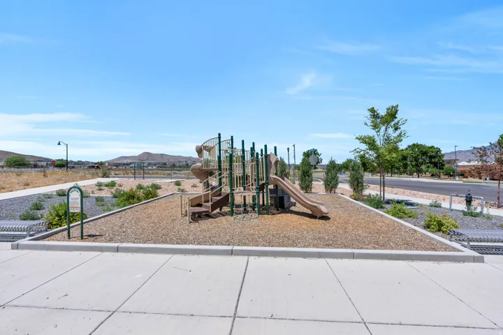 Community playground featuring multiple slides, climbing structures, and a wood chip surface