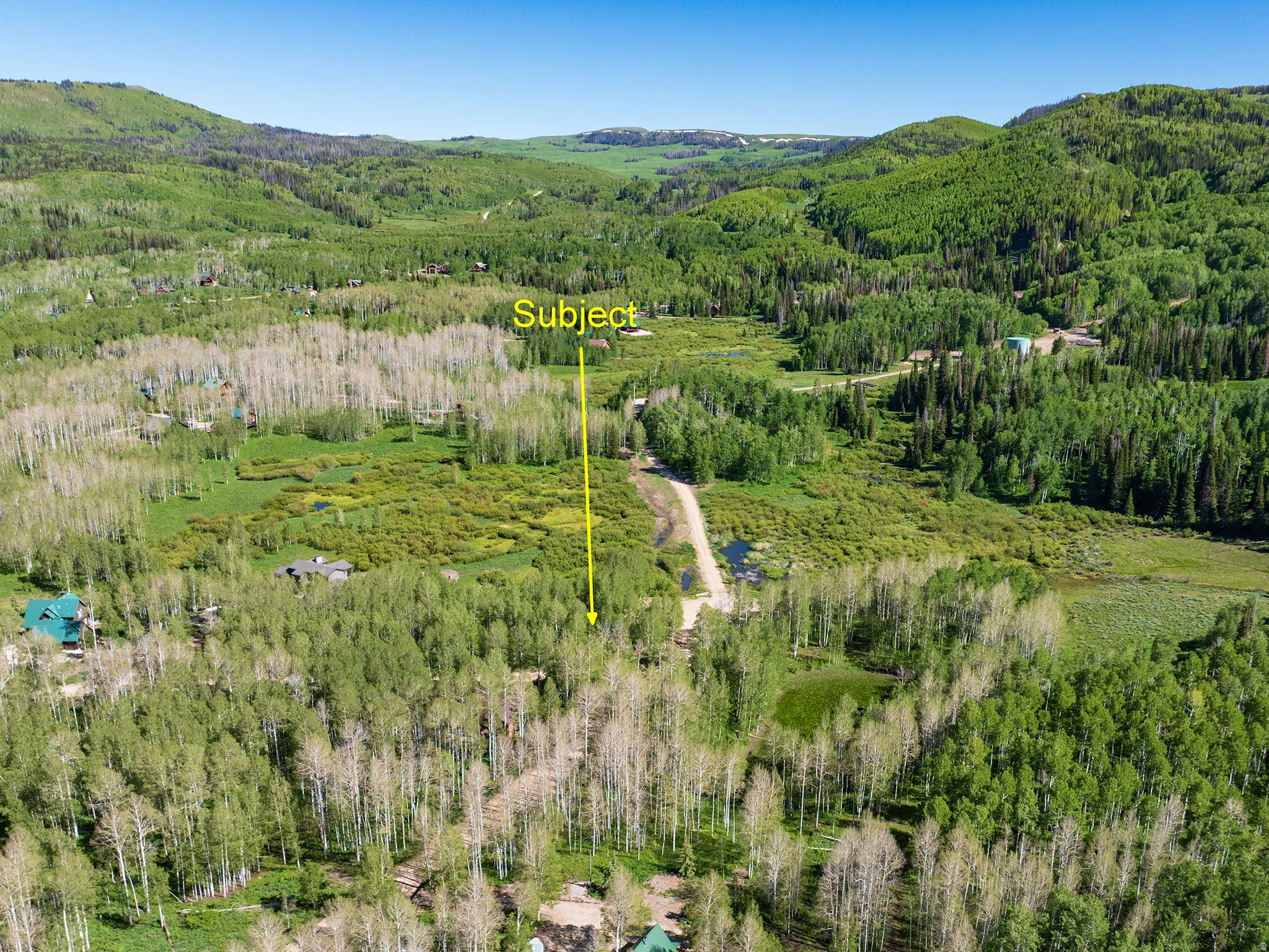 Expansive acreage set amidst rolling hills and dense evergreen forests