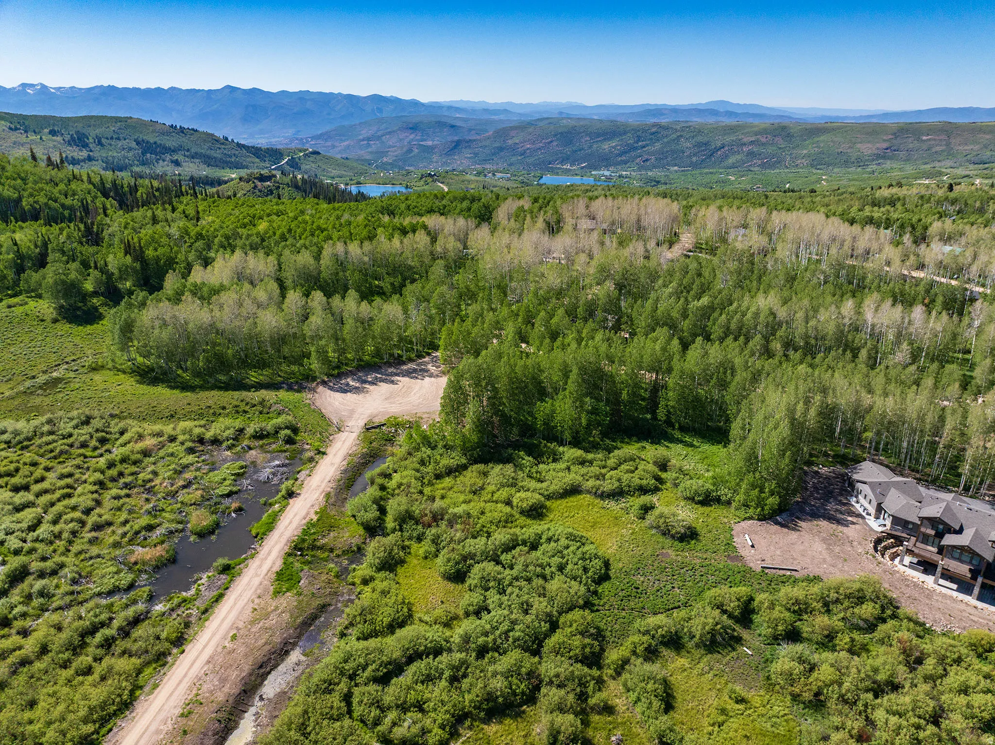 Expansive natural landscape featuring lush green foliage, mature trees, and mountainous terrain in the distance
