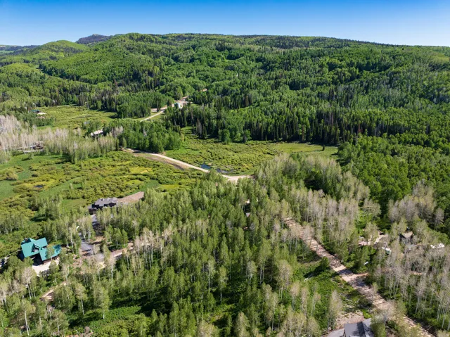 Expansive wooded landscape featuring a meandering dirt road, scattered residential structures, and distant mountainous terrain