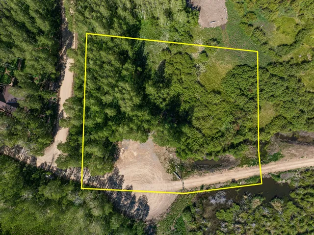 Expansive wooded lot featuring mature trees and a natural water feature